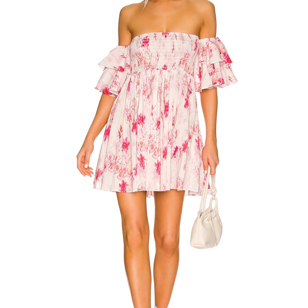 MISA Los Angeles Revolve Dina Dress Abstract Rose Floral Romantic Coquette Sz L